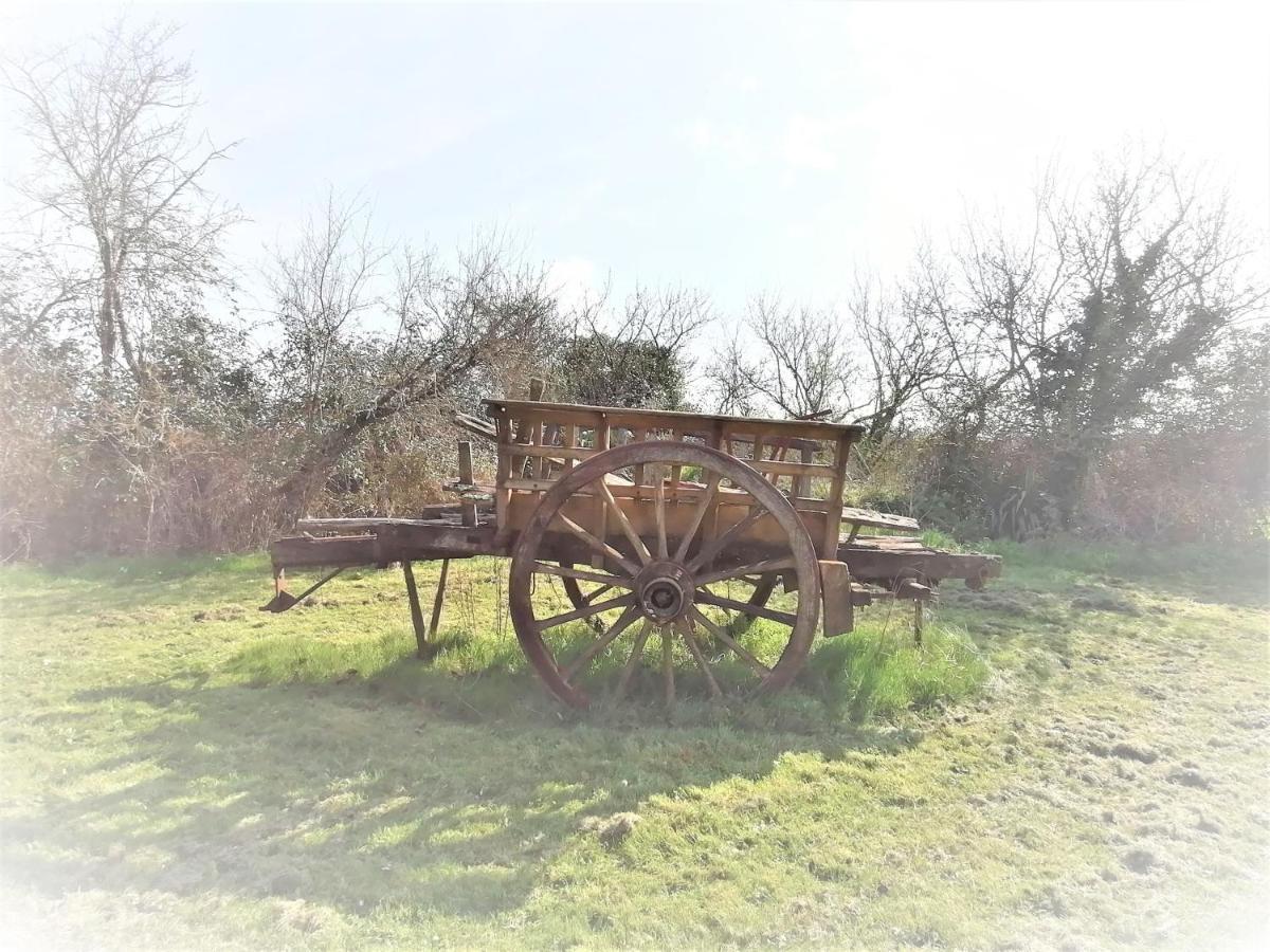 مبيت وإفطار Guillac  Domaine De Gaia, Piscine, Petanque, Ping Pong, Proche Saint-Emilion المظهر الخارجي الصورة